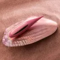Dot Travel Klitoris-Stimulator Rosa von Lelo