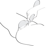 Zoa Intimmassager Rosa von Shunga Toys | Fesselliebe.de