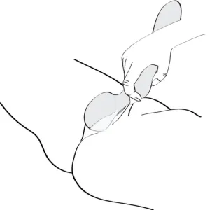 Zoa Intimmassager Rosa von Shunga Toys