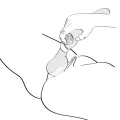Zoa Intimmassager Schwarz von Shunga Toys