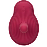 Rider Massager Doppelmotor mit Fernbedienung Rot von Calexotics | Fesselliebe.de