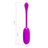 Julius Wasserdichtes, wiederaufladbares Vibrationsei Lila von Pretty Love Smart | Fesselliebe.de