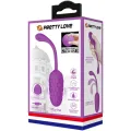 Vibrierendes Ei mit Lila wiederaufladbarer Meerestextur von Pretty Love Smart