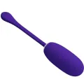 Kirk wiederaufladbares Vibrationsei Lila von Pretty Love Smart