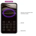 Jayleen Vibrator mit App-Fernbedienung Lila von Pretty Love Led