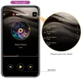 Catalina Vibrator App mit Fernbedienung Lila von Pretty Love Led