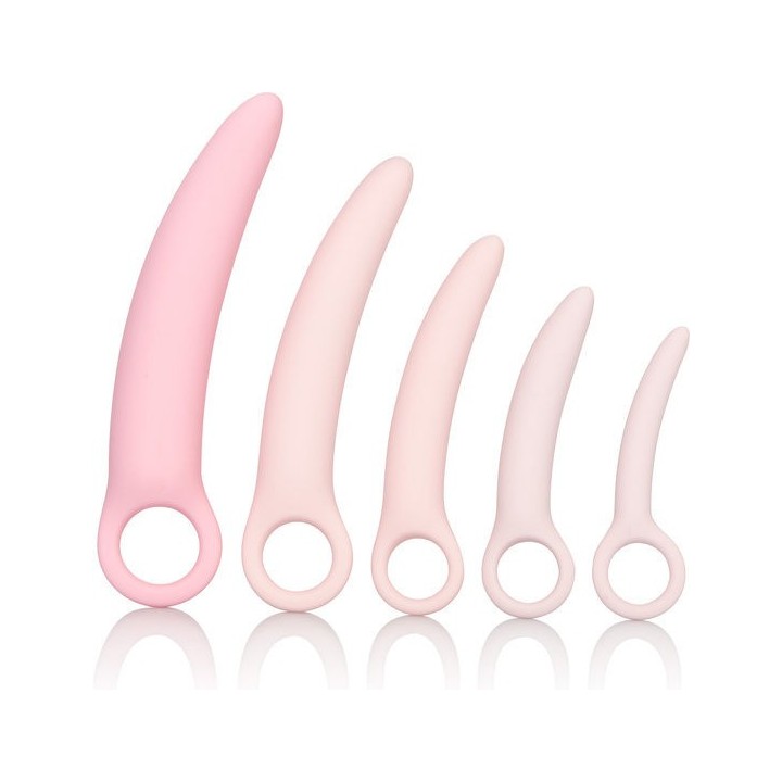 Inspire Silikon-Dilatator 5 Teiliges Set von Calexotics | Fesselliebe.de
