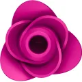 Air Pulse Pro 2 Moderner Blossom Vibrator von Satisfyer Air Pulse