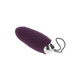 Happiness Knock Knock Eggstavagant Vibrator mit Fernbedienung Lila von Toyjoy | Fesselliebe.de