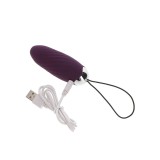 Happiness Knock Knock Eggstavagant Vibrator mit Fernbedienung Lila von Toyjoy | Fesselliebe.de