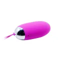 Egg Berger mit Fernbedienung 12v von Pretty Love Smart