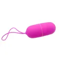 Arvin Vibrierendes Ei mit Fernbedienung 12v von Pretty Love Flirtation