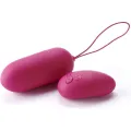 Persönliches Massager mit Drahtloser mit Fernbedienung von Control Toys