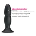 Plug Vibrator und Rotation Durch mit Fernbedienung von Pretty Love Bottom