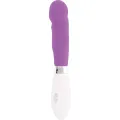 Paul Vibrator Lila von Glossy