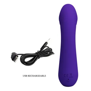 Cetus wiederaufladbarer Vibrator Lila von Pretty Love Smart