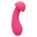 Pixies Exciter Rosa von Calexotics