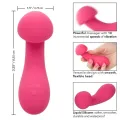 Pixies Exciter Rosa von Calexotics