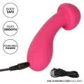 Pixies Exciter Rosa von Calexotics