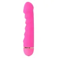Sally 20 Geschwindigkeiten Silikon Rosa von Intense Fun
