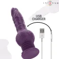Tatum Multifunktionsvibrator mit Auf- und Abvibration 24 cm Lila von Intense Fun