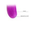 Hochwertiges Bliss Lilac Massager von Pretty Love High Grade