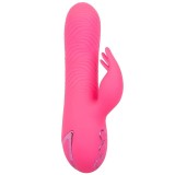 Sacramento Sweetie Vibrator Rabbit Pink von California Dreaming von Calexotics | Fesselliebe.de