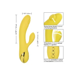 San Diego Verführung von Calexotics