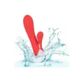 Palisades Passion Rot von Calexotics