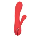 Palisades Passion Rot von Calexotics