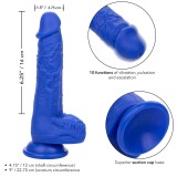 Admiral Sailor Realistischer Dildo-Vibrator Blau von Calexotics | Fesselliebe.de