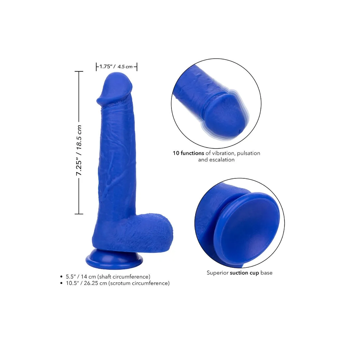 Admiral Kapitn Realistischer Dildo-Vibrator Blau von Calexotics | Fesselliebe.de