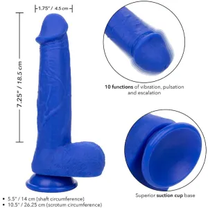Admiral Kapitn Realistischer Dildo-Vibrator Blau von Calexotics
