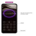 Fisherman App-Gesteuertes Vibrierendes Ei Lila von Pretty Love Smart
