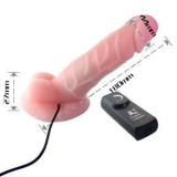 Realistischer Penisrotator Cibersking Loveclone von Baile Vibrators | Fesselliebe.de