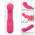 Pixies Curvy Rosa von Calexotics