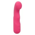 Pixies Curvy Rosa von Calexotics