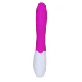Flirtation Schnitziger Vibrator von Pretty Love Flirtation