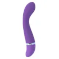 Leo Vibrator Lila Silikon Luxe von Intense Fun