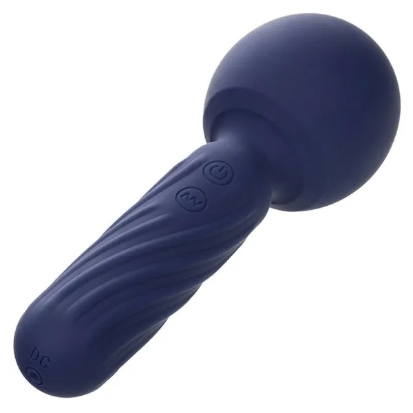 Charisma Seduction Massager 12 Funktionen 17,75 cm X 6,25 cm Lila von Calexotics | Fesselliebe.de