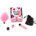Vergnügungsbox für Paare: Würfel + Vibrationskugel + Federstift von Secretplay 100% Games