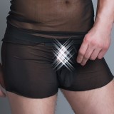 Boxer MC/9010 aus schwarzen transparenten Tüll für Männer | Fesselliebe.de