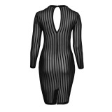 Klassisches Kleid aus weichem und elastischen Tüll F270 von Noir Handmade Curve Collection | Fesselliebe.de
