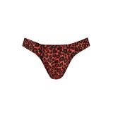 Herren String AM052667 Tribal von Anais for Men | Fesselliebe.de