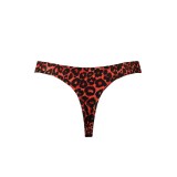 Herren String AM052667 Tribal von Anais for Men | Fesselliebe.de