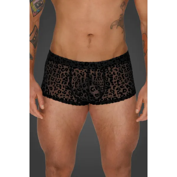 Leopard Flock Shorts H072 von Noir Handmade Aplpha Collection | Fesselliebe.de