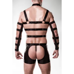 5-teilges Harness-Set 20050 von Grey Velvet