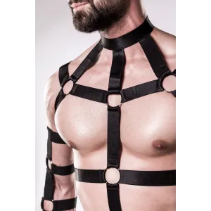 5-teilges Harness-Set 20050 von Grey Velvet