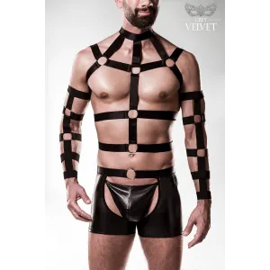 5-teilges Harness-Set 20050 von Grey Velvet