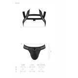 Schwarzes Harness Set 043 von Passion | Fesselliebe.de